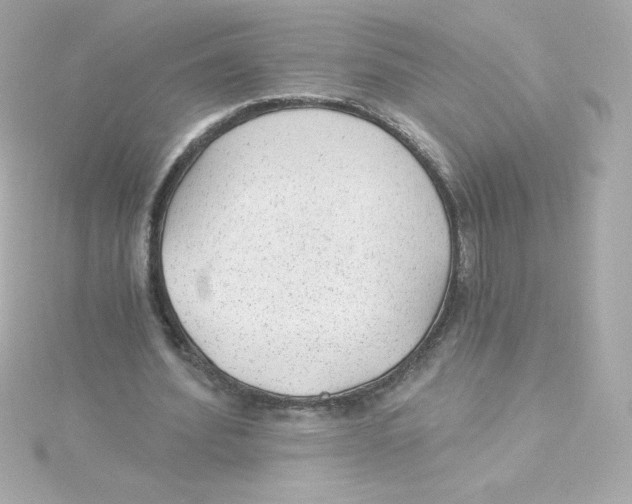 X0000115260580200911271927