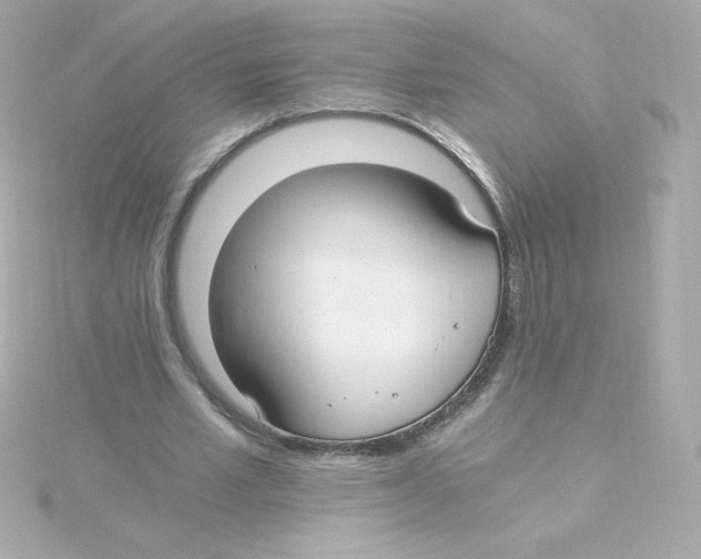 X0000115260581200911271927