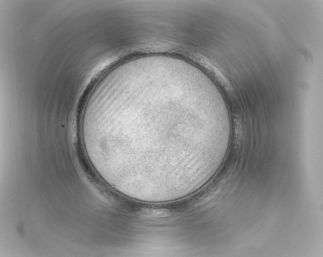 X0000115260582200911271927