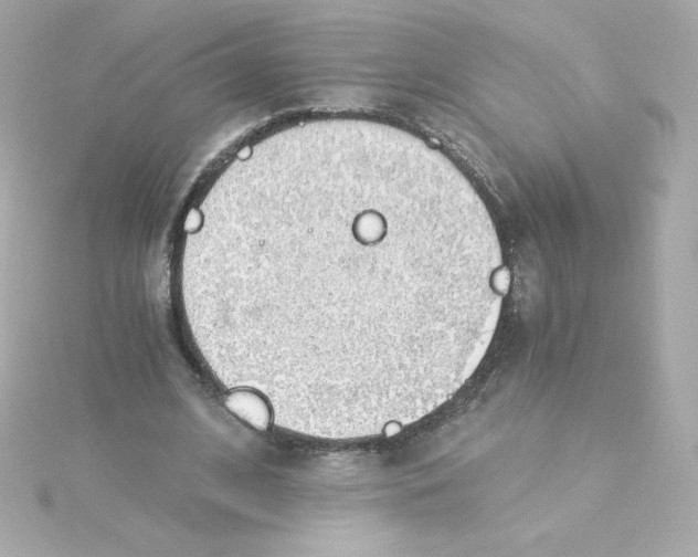 X0000115260584200911271927