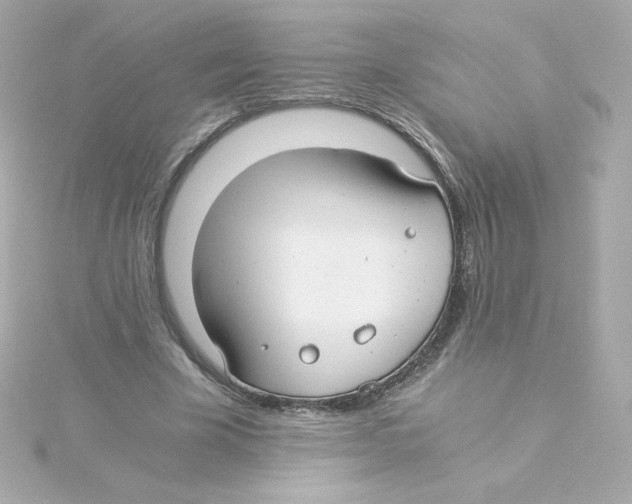 X0000115260585200911271927