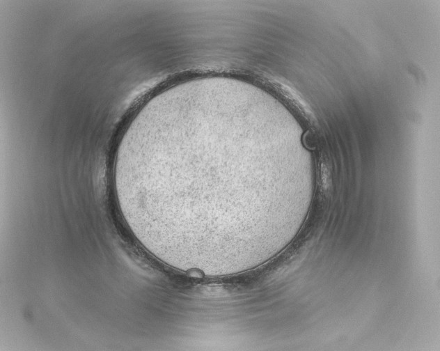 X0000115260588200911271927