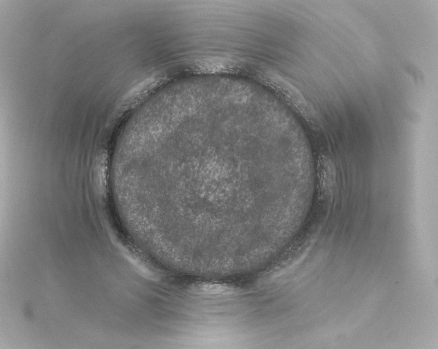 X0000115260590200911271927