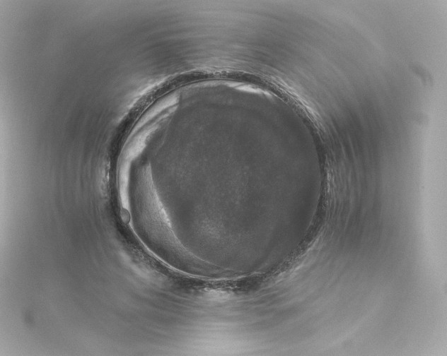 X0000115260592200911271927