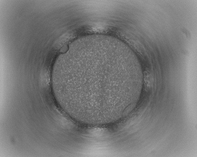 X0000115260593200911271927