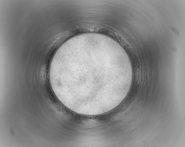 X0000115260594200911271927