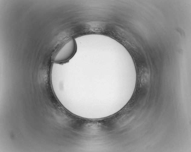 X0000115260595200911271927