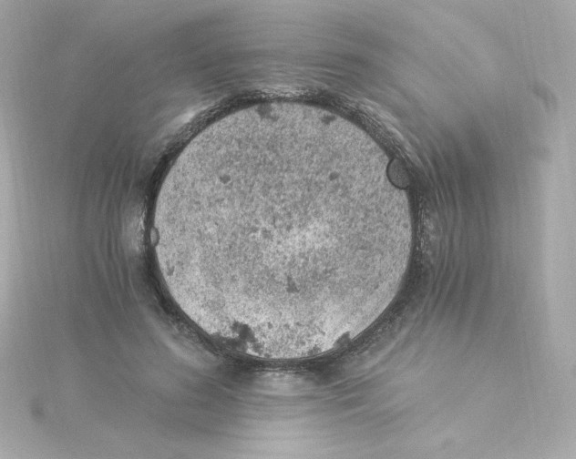 X0000115260596200911271927