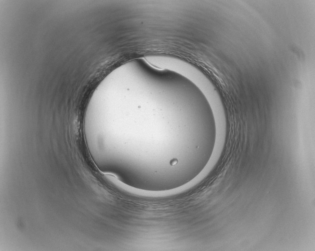 X0000115260597200911271927