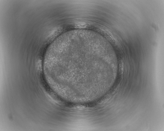 X0000115260598200911271927