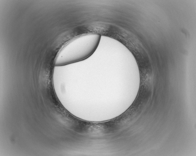 X0000115260599200911271927