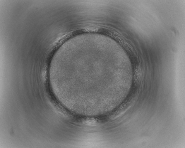 X0000115260600200911271927