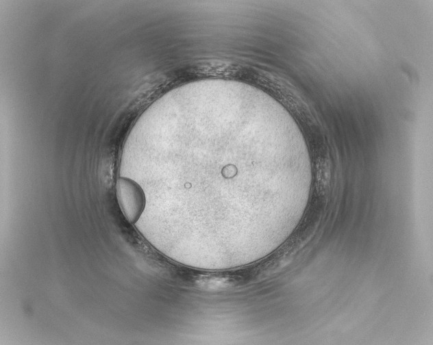 X0000115260602200911271927