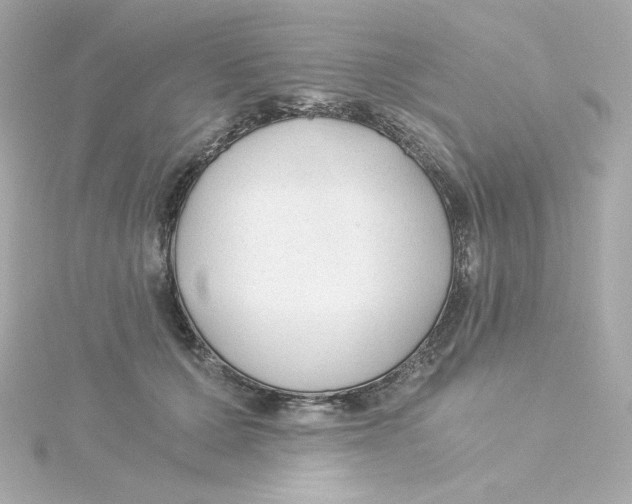 X0000115260607200911271927