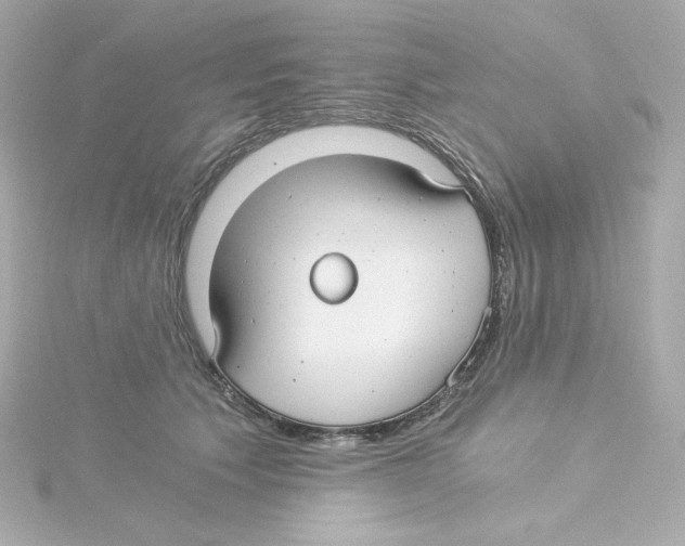 X0000115260609200911271927