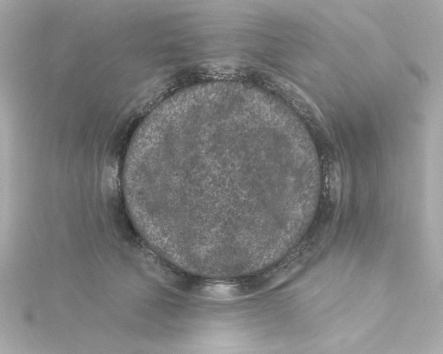 X0000115260610200911271927