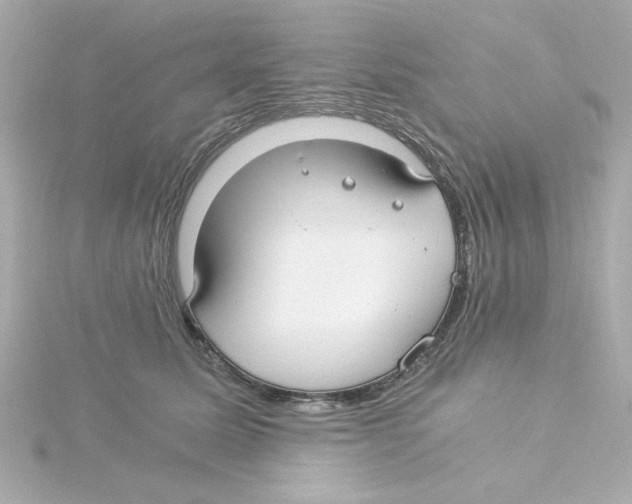 X0000115260611200911271927