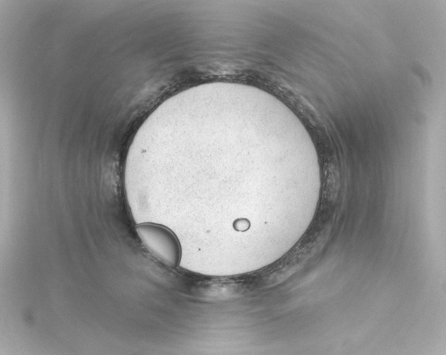 X0000115260612200911271927