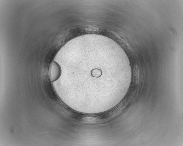 X0000115260614200911271927