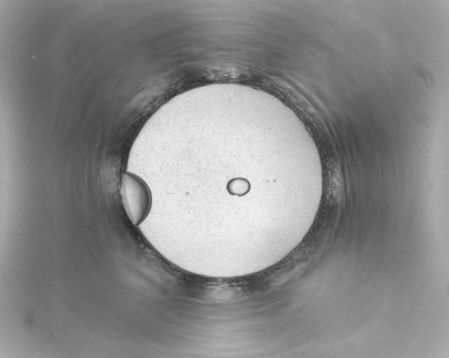 X0000115260616200911271927