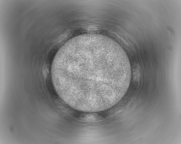 X0000115260618200911271927