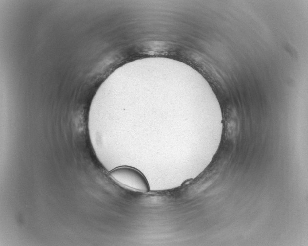 X0000115260620200911271927