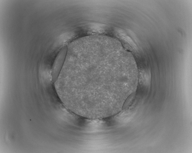 X0000115260621200911271927