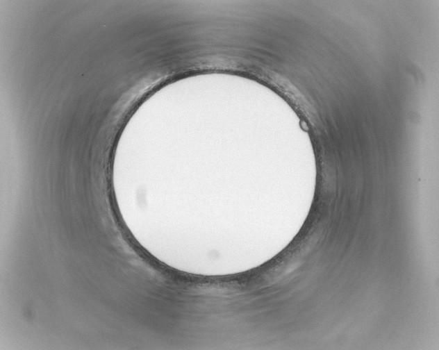 X0000115260625200911271926