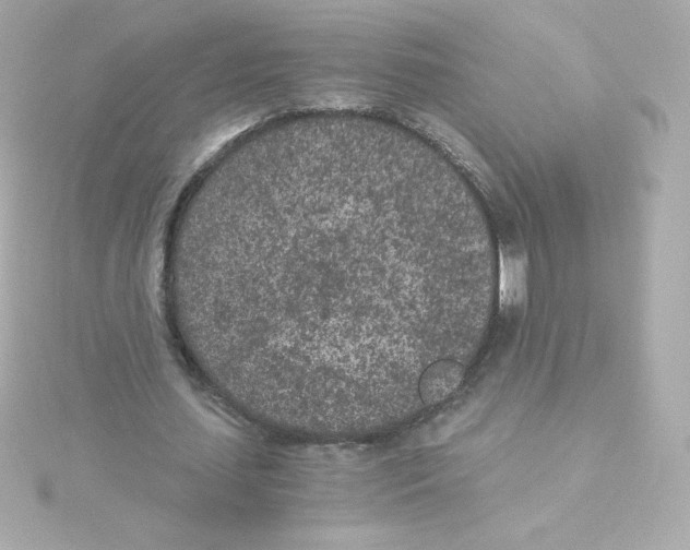 X0000115260627200911271926