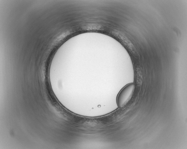 X0000115260631200911271926