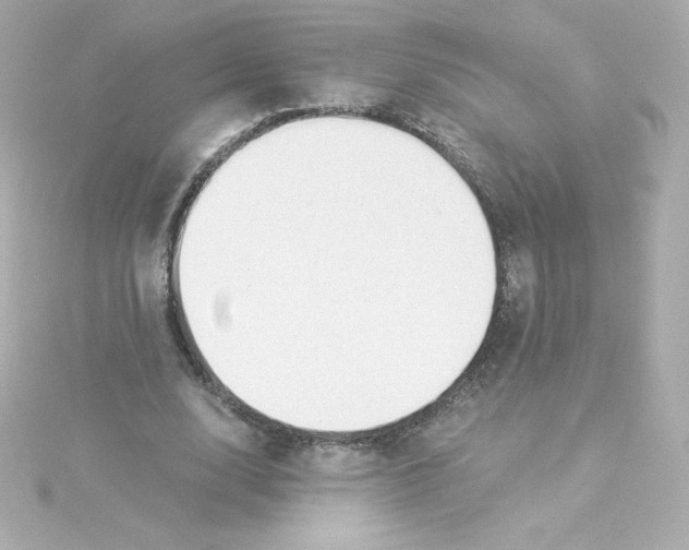 X0000115260632200911271926