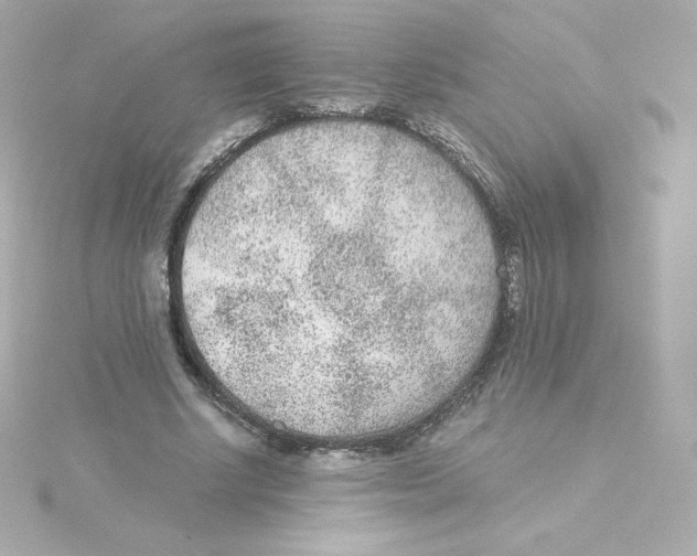 X0000115260634200911271926