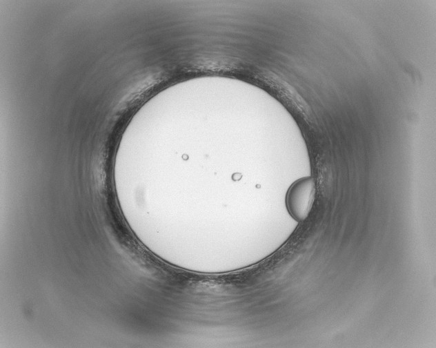 X0000115260635200911271926