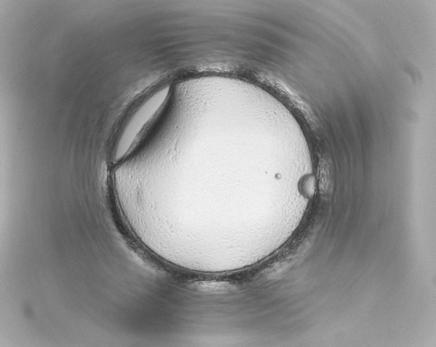 X0000115260637200911271926