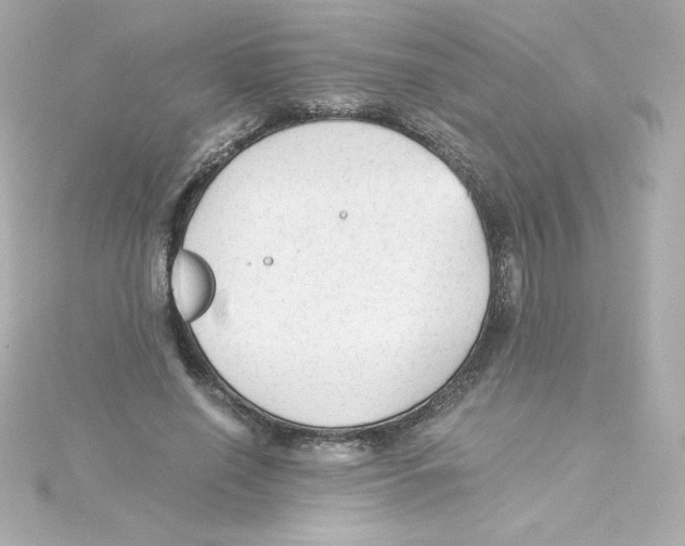 X0000115260638200911271926