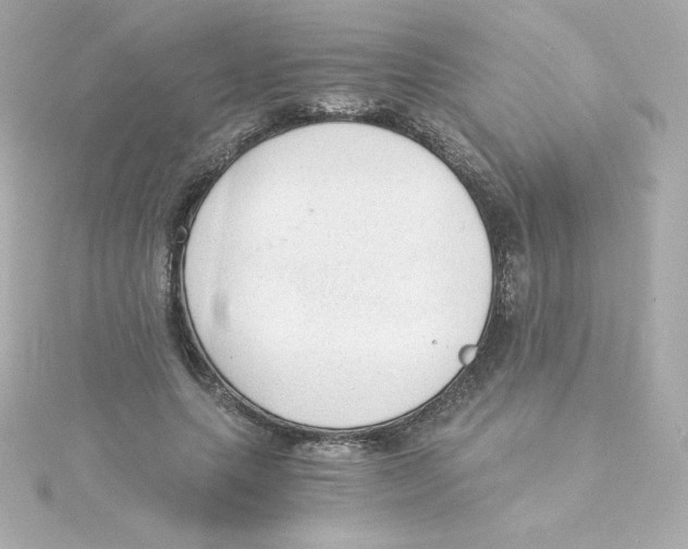 X0000115260639200911271926