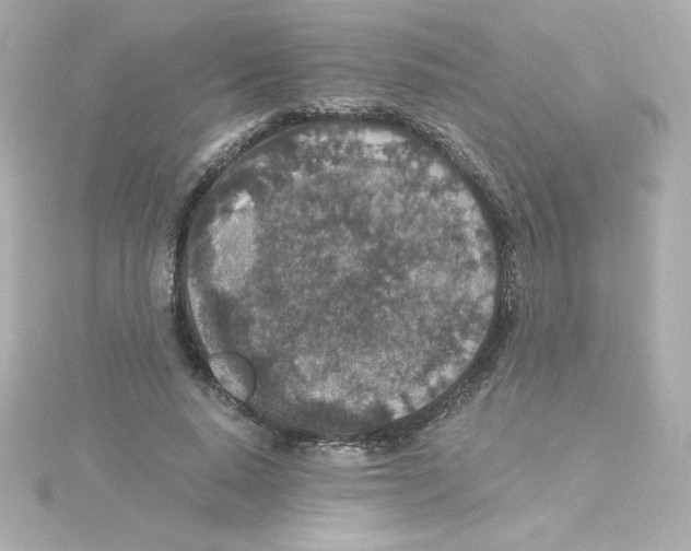 X0000115260640200911271926