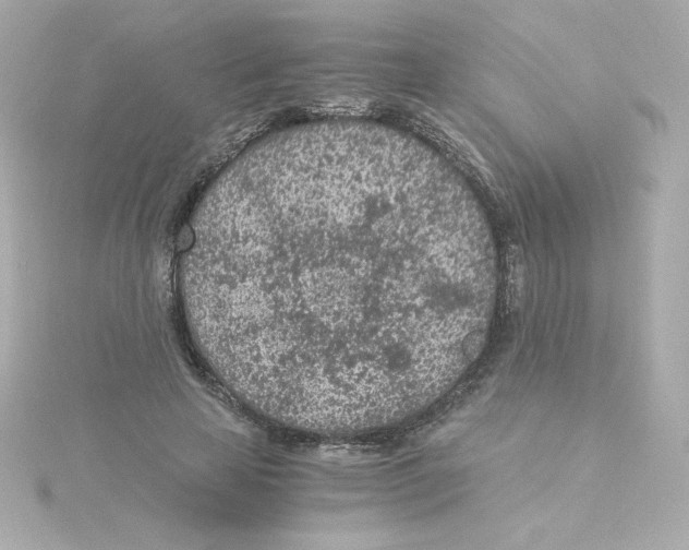 X0000115260641200911271926