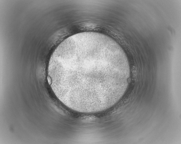 X0000115260642200911271926