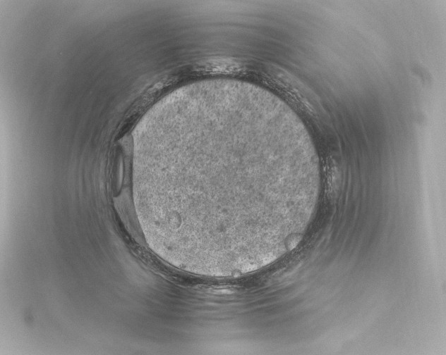 X0000115260643200911271926