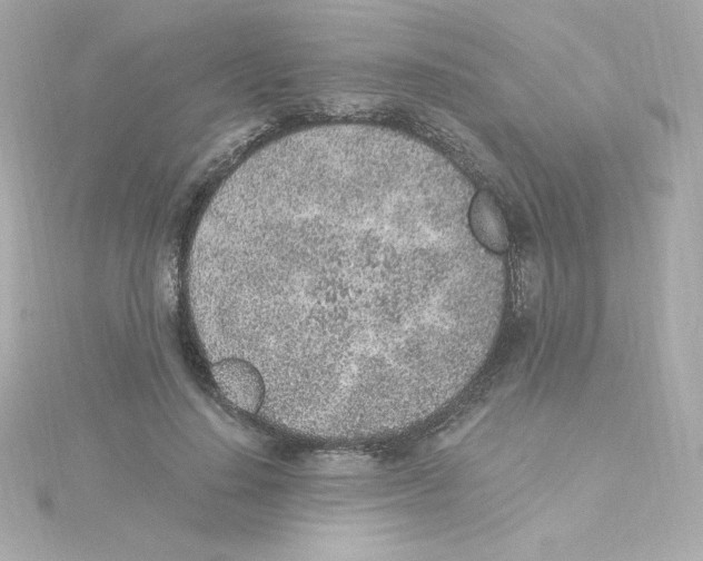 X0000115260644200911271926