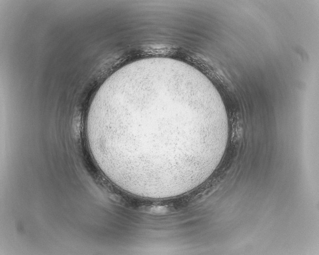 X0000115260647200911271926