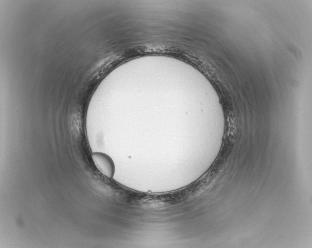 X0000115260648200911271926