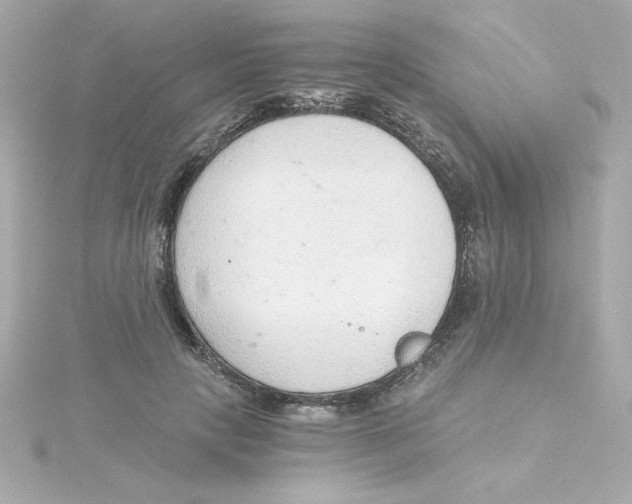 X0000115260649200911271926