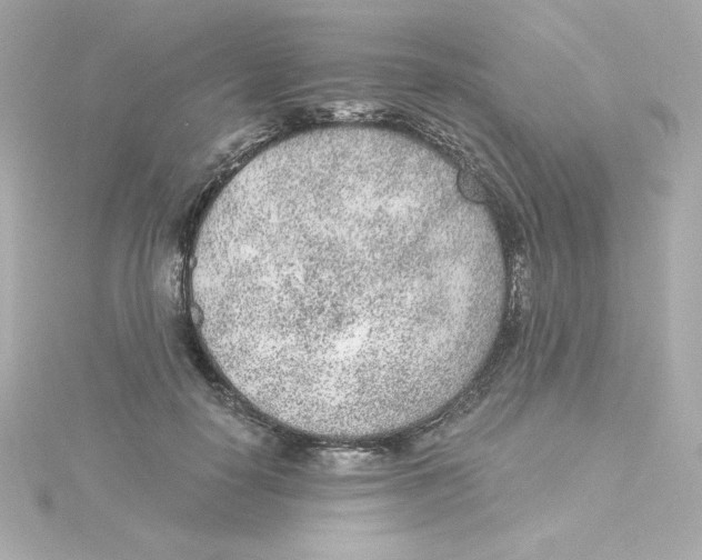 X0000115260650200911271926