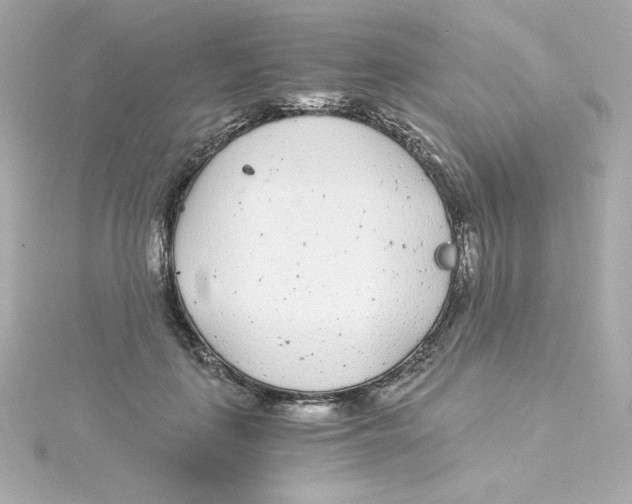 X0000115260651200911271926