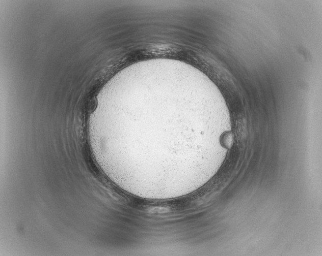 X0000115260653200911271926