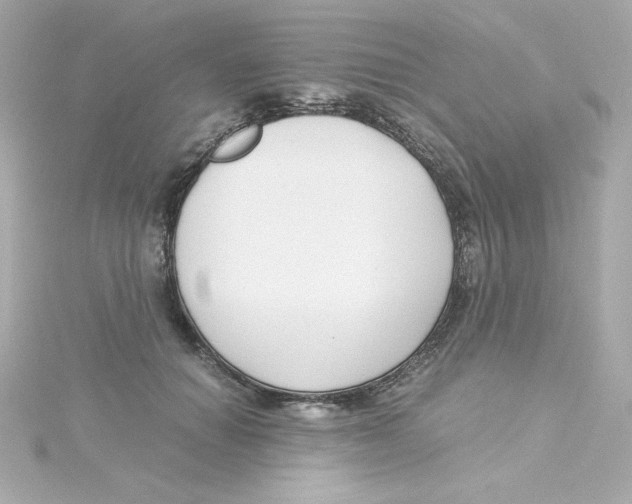 X0000115260654200911271926