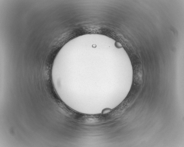 X0000115260658200911271926