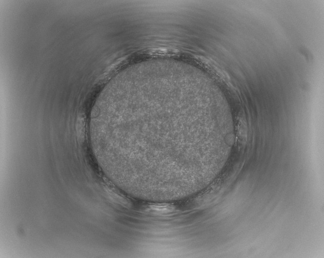 X0000115260659200911271927